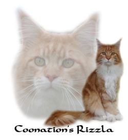 Coonation's Rizzla